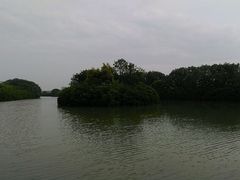 -大湾区中央湿地公园