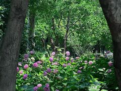 -南通濠河风景名胜区