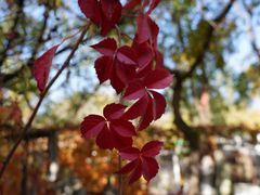 -北京石刻艺术博物馆(五塔寺)