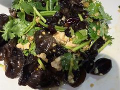 -洞庭家宴·头牌甲鱼(广渠门店)