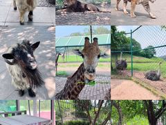 -乐和乐都主题乐园