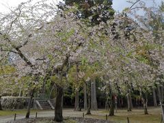 -醍醐寺
