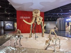 -重庆自然博物馆(新馆)