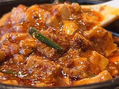 -陈麻婆豆腐总店