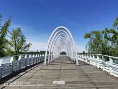 -大兴滨河森林公园