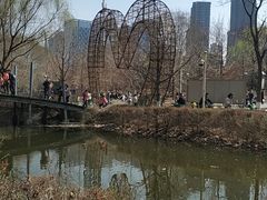 -长白岛森林公园