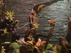 -泰适SPA馆丨精油·按摩·足道(后海地铁口店)