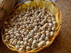 -傣家寨花园主题餐厅