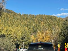 -塞罕坝国家级自然保护区