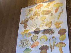 -滇野云南野生菌餐厅(陕西南路店)