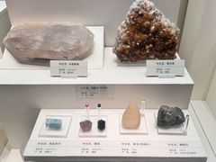 -天津自然博物馆