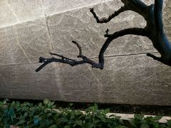 -云间宿茶空间(嘉杰国际广场店)