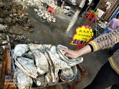 -蚝专家(北滘店)