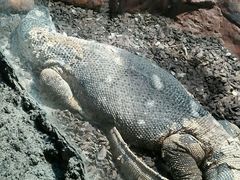 android_upload_pic-郑州海洋馆