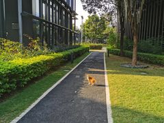 -星巴克(深圳前海企业公馆店)