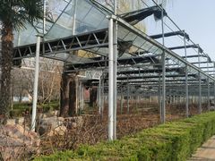 -洛阳市隋唐城遗址植物园