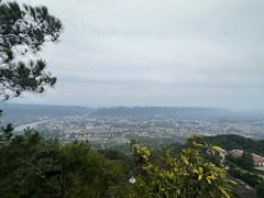 -缙云山景区