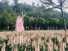 -顺峰山公园