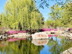 -羊亭河湿地公园