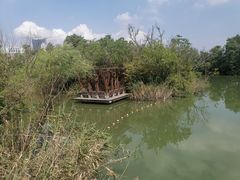 -上海长江河口科技馆