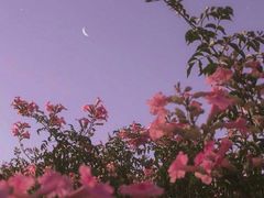 -老刘面馆(中建·城中壹号公馆店)