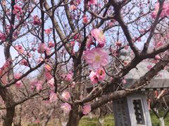 -开福禅寺