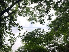 -桐君山春江扬帆码头