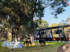 -昆山城市生态森林公园