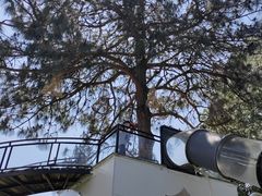 -云禾壹海景庄园餐厅