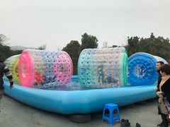-香雪海