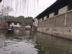 -鲁镇