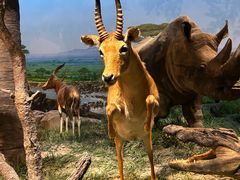 -国家自然博物馆