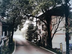 -缙云山景区