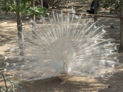 -南大港湿地风景区