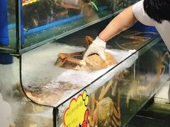 水产区-蚝专家(北滘店)
