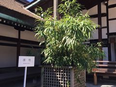 -京都御所