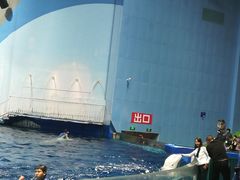 -福州罗源湾海洋世界旅游区