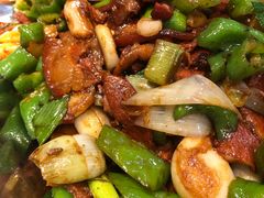 -邵年鸽(杨庄店)