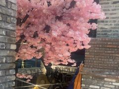-桃姐农庄老字号(增城分店)