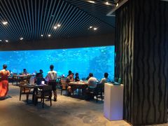 -海棠湾洲际-涛·海底餐厅·美人鱼·自助餐·海底隧道