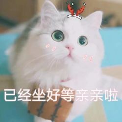 -晶奕空间专业脱毛连锁机构