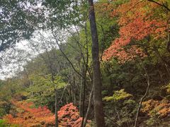 -本溪汤沟绿石谷森林公园