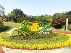 -渡海小渔村.老辈日照菜