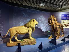 -国家自然博物馆