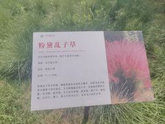 -羊亭河湿地公园