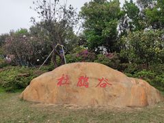 -梧桐山风景名胜区