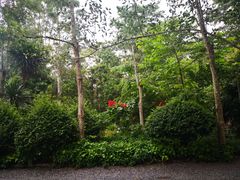 -中国科学院西双版纳热带植物园