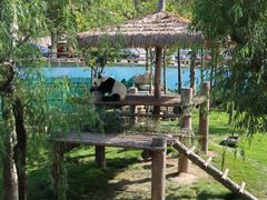 -西霞口神雕山野生动物世界