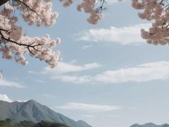 -胡里山炮台