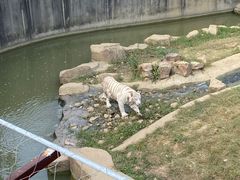 -无锡动物园·太湖欢乐园